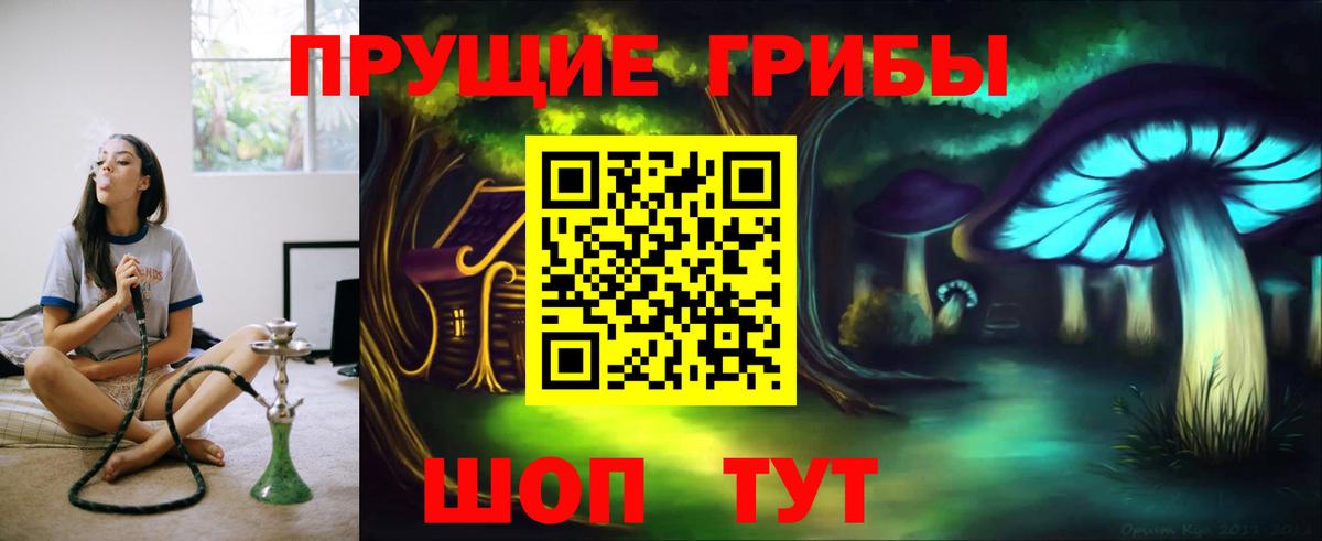 Гусев  Псилоцибиновые грибы Magic Shrooms  Вход с VPN 