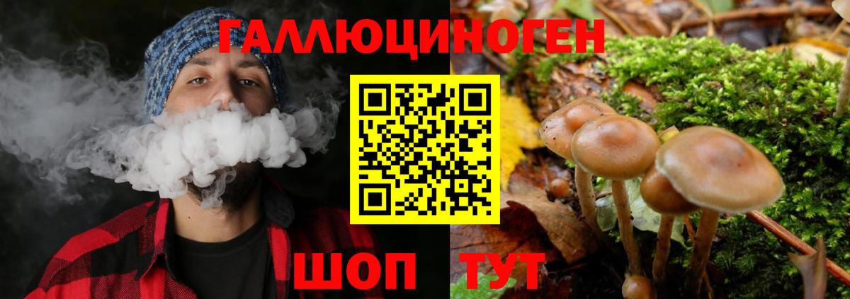 Псилоцибиновые грибы мицелий Гусев